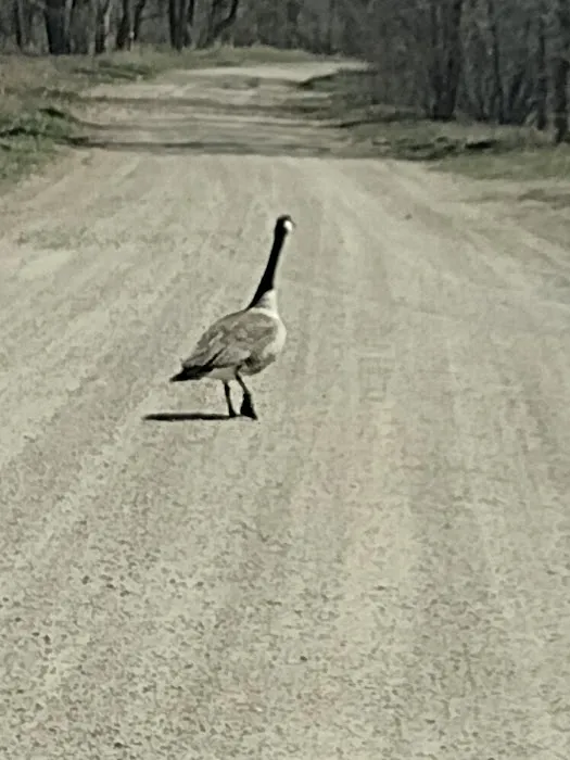 Big Sioux Rec Area Campground Picture 4