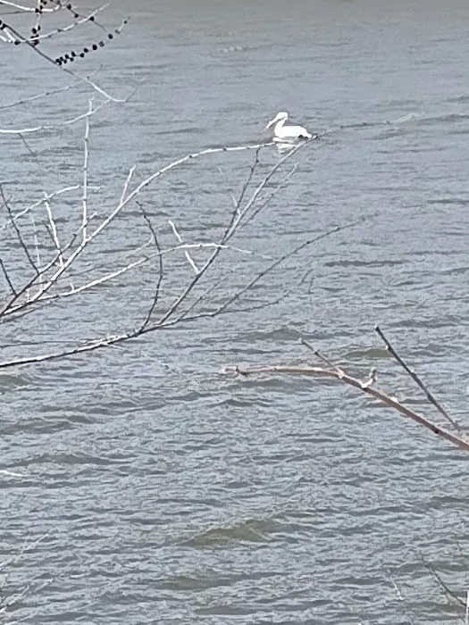 Big Sioux Rec Area Campground Picture 3