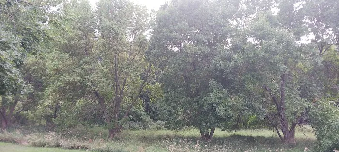 Beaver Creek Campground Picture 9