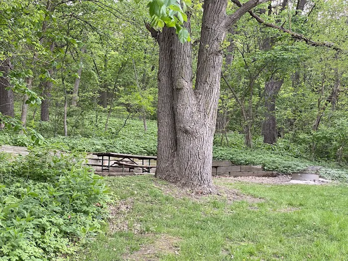 Beaver Creek Campground Picture 3