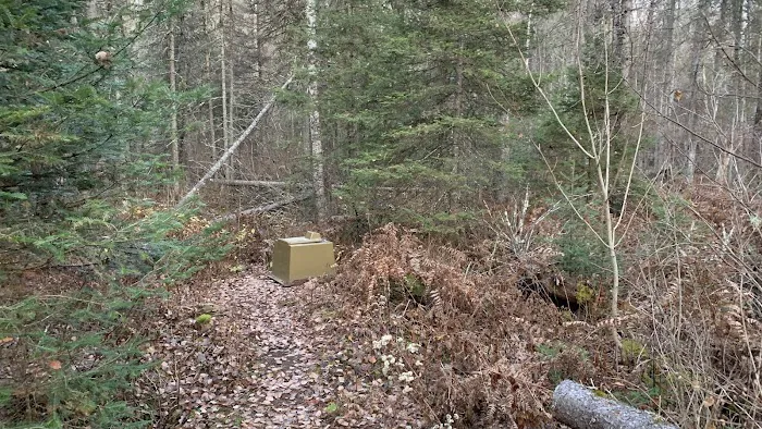 Sucker River Camp Picture 2