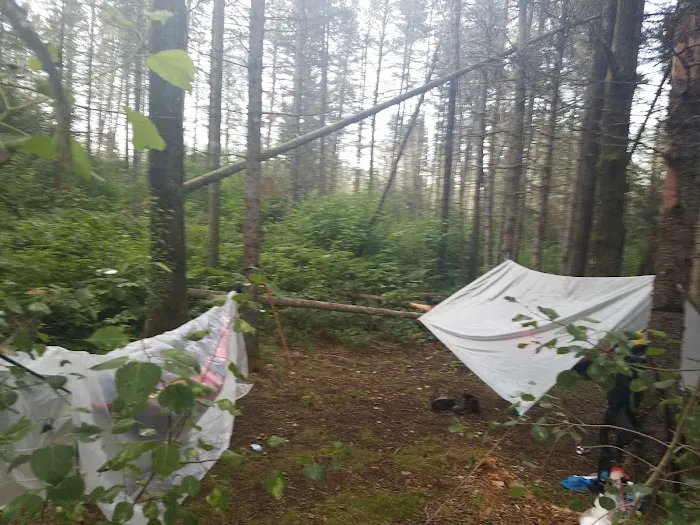 Sucker River Camp Picture 4