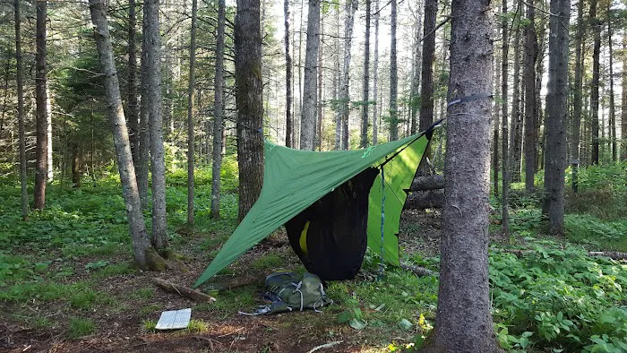 Sucker River Camp Picture 5