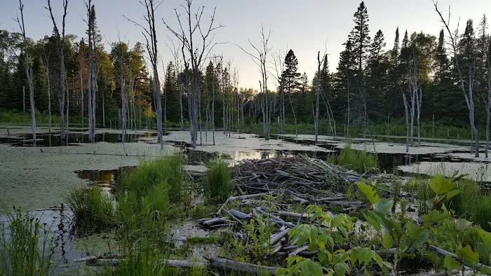 Fox Farm Pond Camp Picture 3