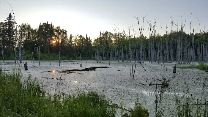 Fox Farm Pond Camp Picture 2