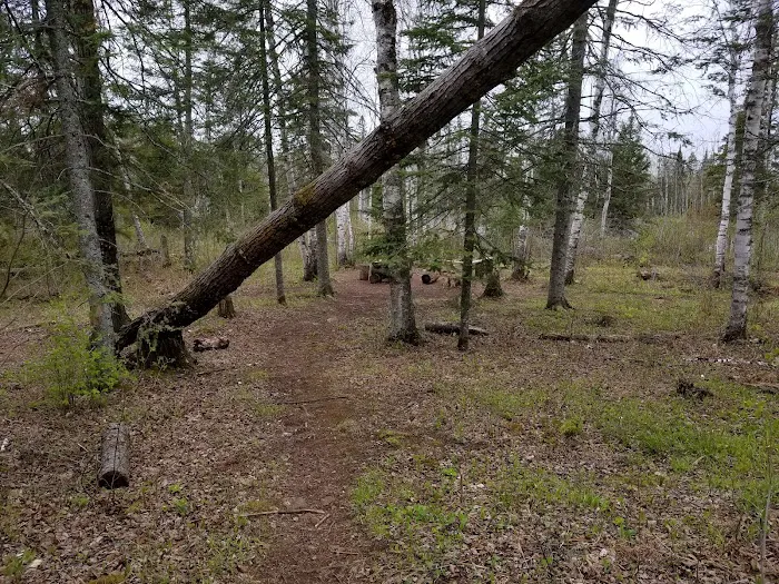 Fox Farm Pond Camp Picture 6