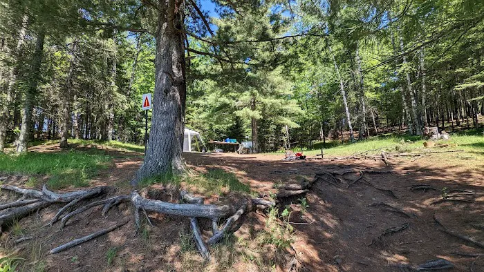 Island Lake Campsite #1 Picture 5