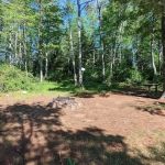 Island Lake Campsite #4