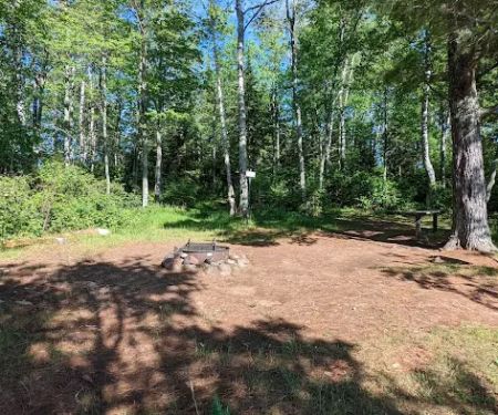 Island Lake Campsite #4