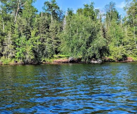 Island Lake Campsite #3