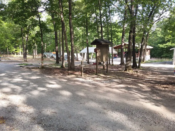 Locust Campsite Picture 2