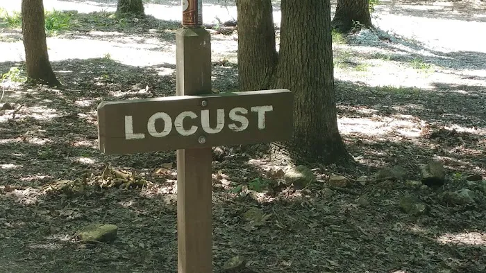 Locust Campsite Picture 1