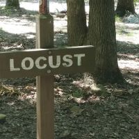 Locust Campsite ico