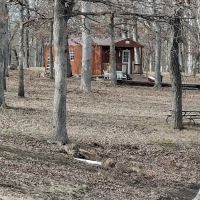Deer Run RV Park & Campground ico