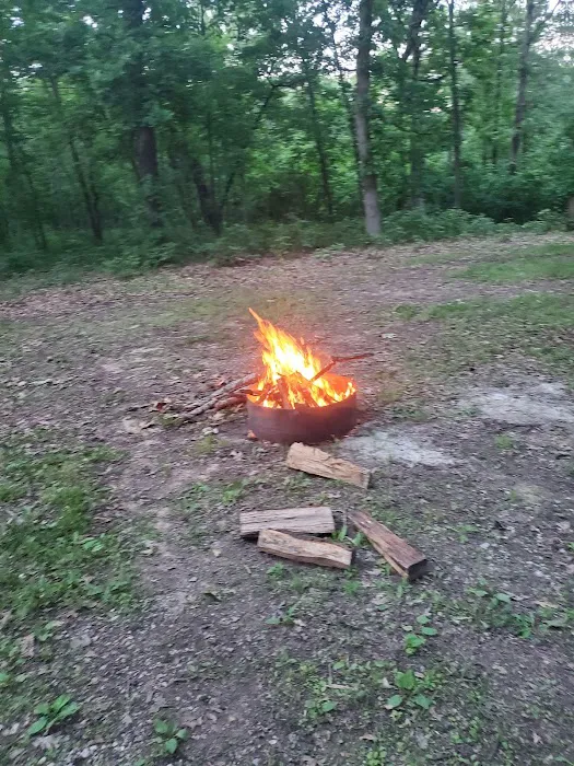 Deer Run RV Park & Campground Picture 4