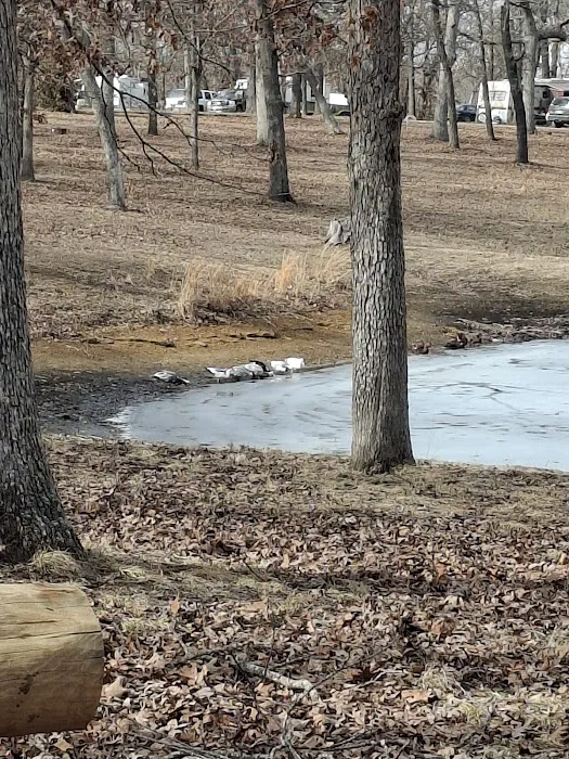 Deer Run RV Park & Campground Picture 9