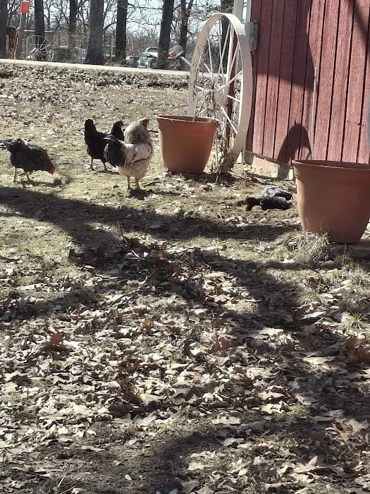 Deer Run RV Park & Campground Picture 8