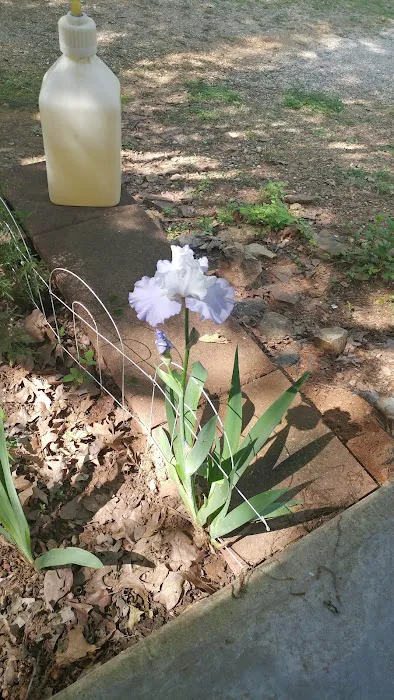 Deer Run RV Park & Campground Picture 6