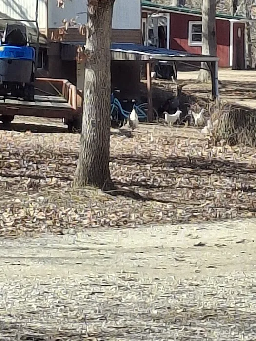 Deer Run RV Park & Campground Picture 7