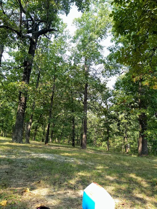 Deer Run RV Park & Campground Picture 10