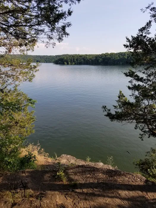 Viola Park Campground Picture 3