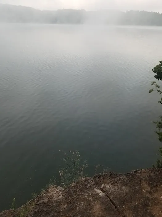 Viola Park Campground Picture 9