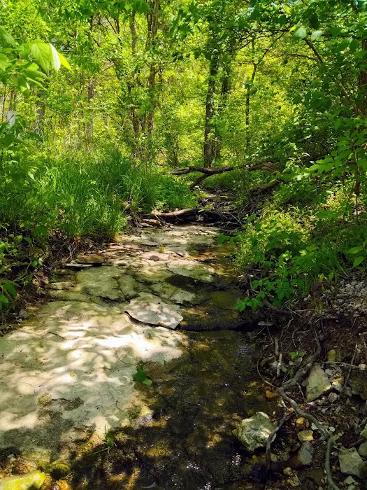 Viola Park Campground Picture 10