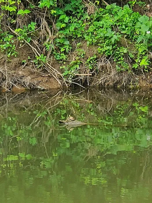 Kings River Camping And Rentals LLC Picture 7