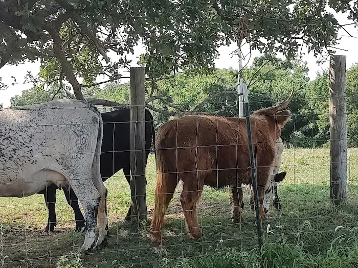 Big M Campground Picture 4