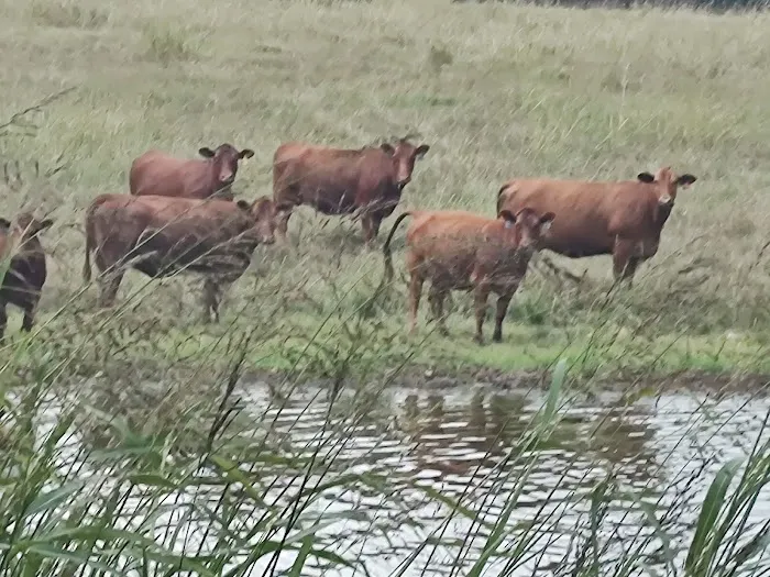 Big M Campground Picture 5