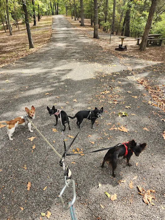 Big M Campground Picture 6