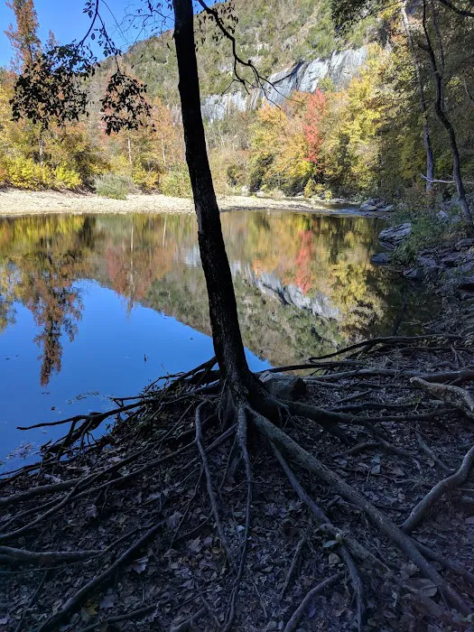 Steel Creek Campground Picture 6