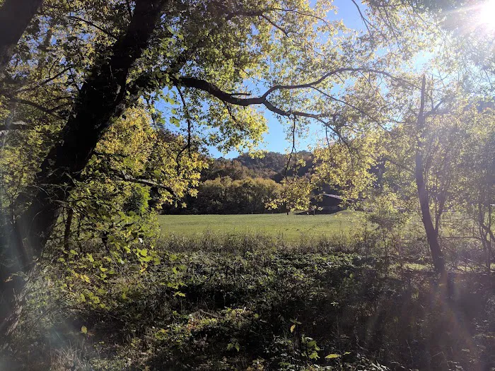 Steel Creek Campground Picture 7