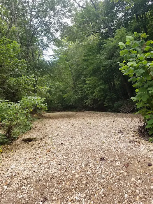 Steel Creek Campground Picture 10