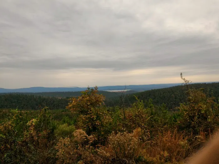 US Forestry Department Picture 1