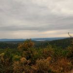 US Forestry Department