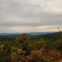 US Forestry Department ico