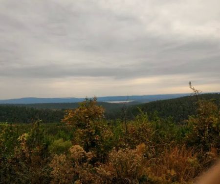 US Forestry Department