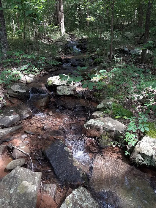 Piney Bay Campground Picture 6