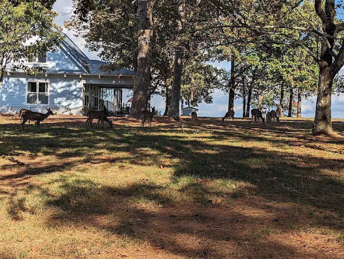 Mount Nebo Campground Picture 9
