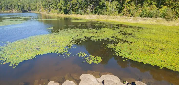 Lake Sylvia Campground Picture 7