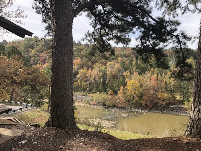 Lake Nimrod Campgrounds Picture 9