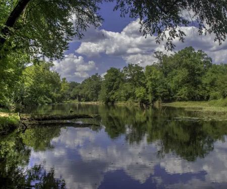 South Fourche Campground