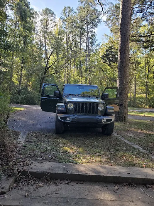 South Fourche Campground Picture 8