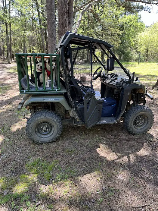 Sorghum Hollow Horse Camp Picture 4