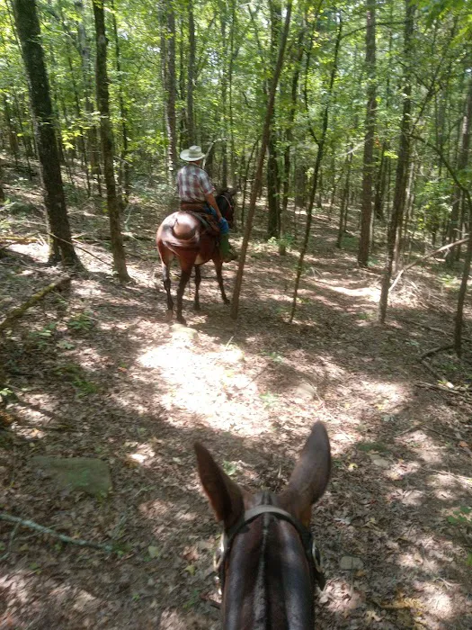 Lonesome D Horse Camp Picture 6