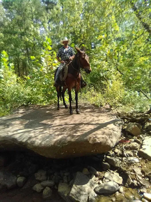 Lonesome D Horse Camp Picture 4