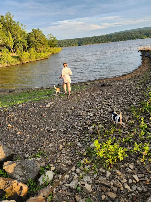 Carter Cove Recreation Area Picture 8