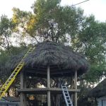 Big Cypress Indian Reservation