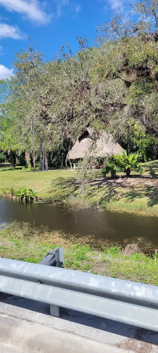 Big Cypress Indian Reservation Picture 4